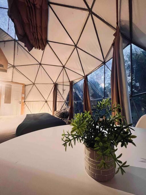 Magia Ecolodges, Glamping Punta Colorada Εξωτερικό φωτογραφία